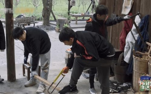 《向往5》黃磊智商下線(xiàn)遭吐槽 彈幕直呼其木工鋸常識(shí)缺失