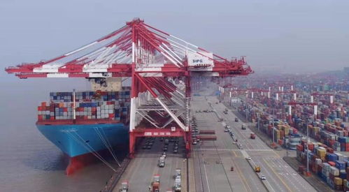 上海口岸或迎報復(fù)性出貨潮，貨代兇猛報關(guān)再現(xiàn)